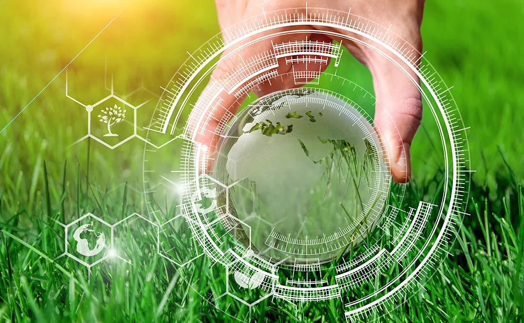 The Circular Bioeconomy and Sustainable Business Practices
