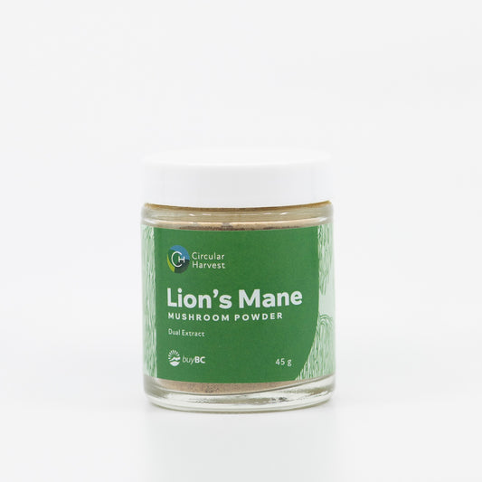 Lion's Mane Mushroom Powder