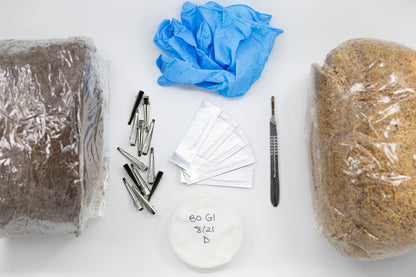 Mycology DIY Kit