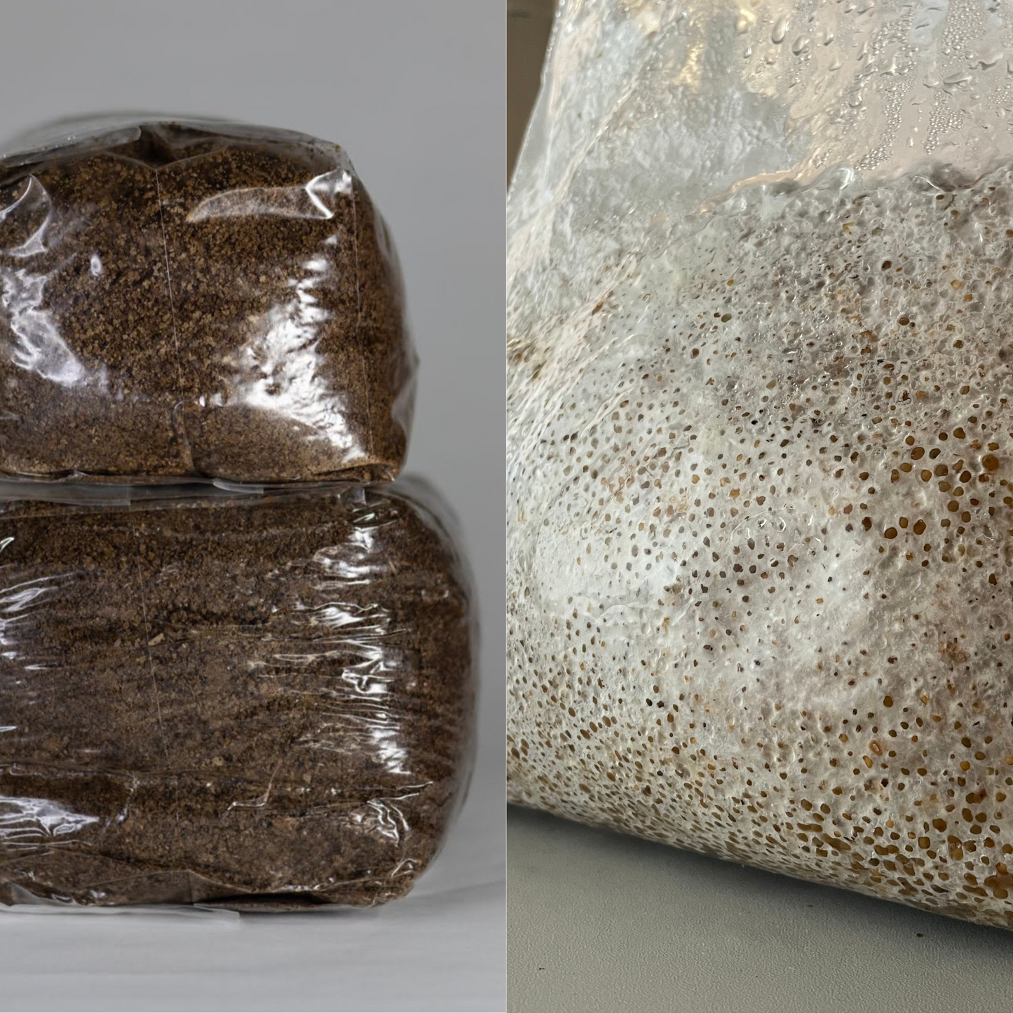 Outdoor Mushroom Bed Starter Kit