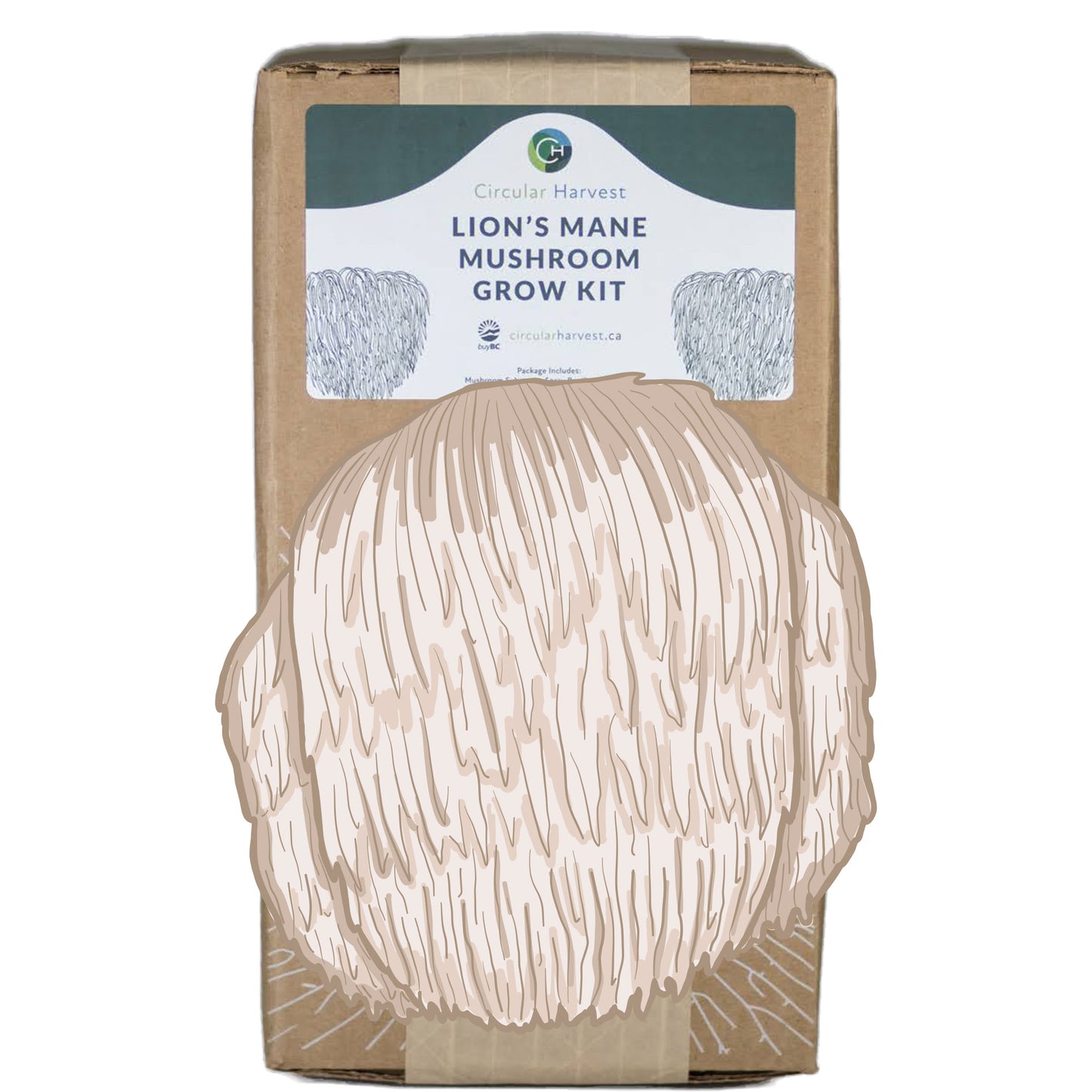 Lion's Mane Mushroom Grow Kit