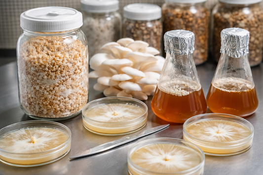 Mastering Genetics: How to Produce Commercial Grade Mushroom Cultures
