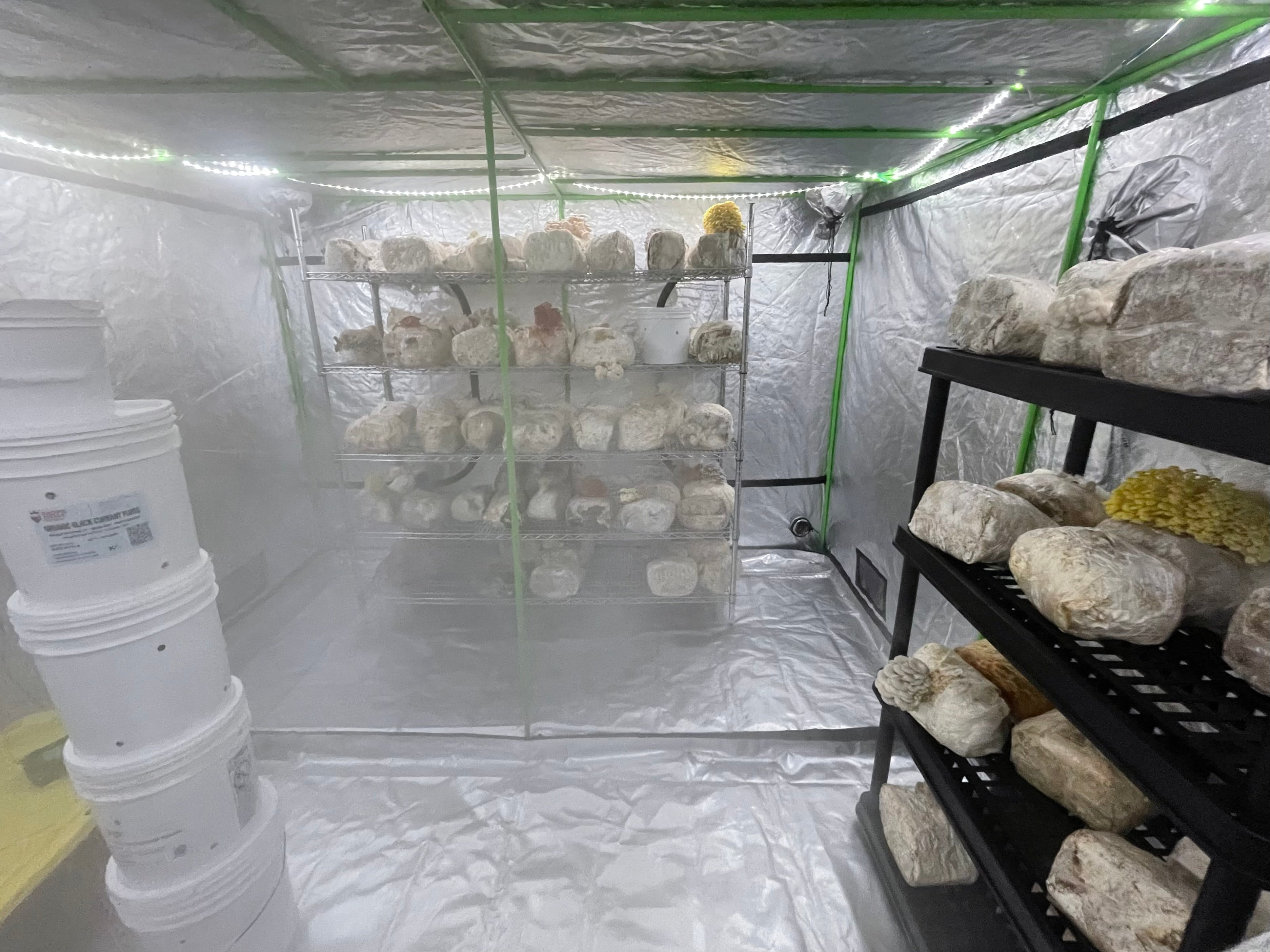 How To Turn A Bedroom Into A Grow Room at Amanda Okane blog