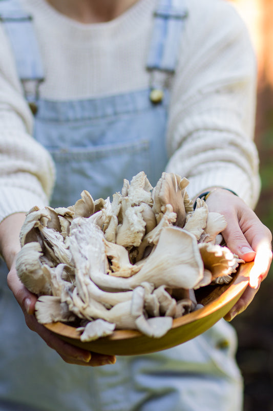 Oyster Mushrooms: The Underrated Super Food