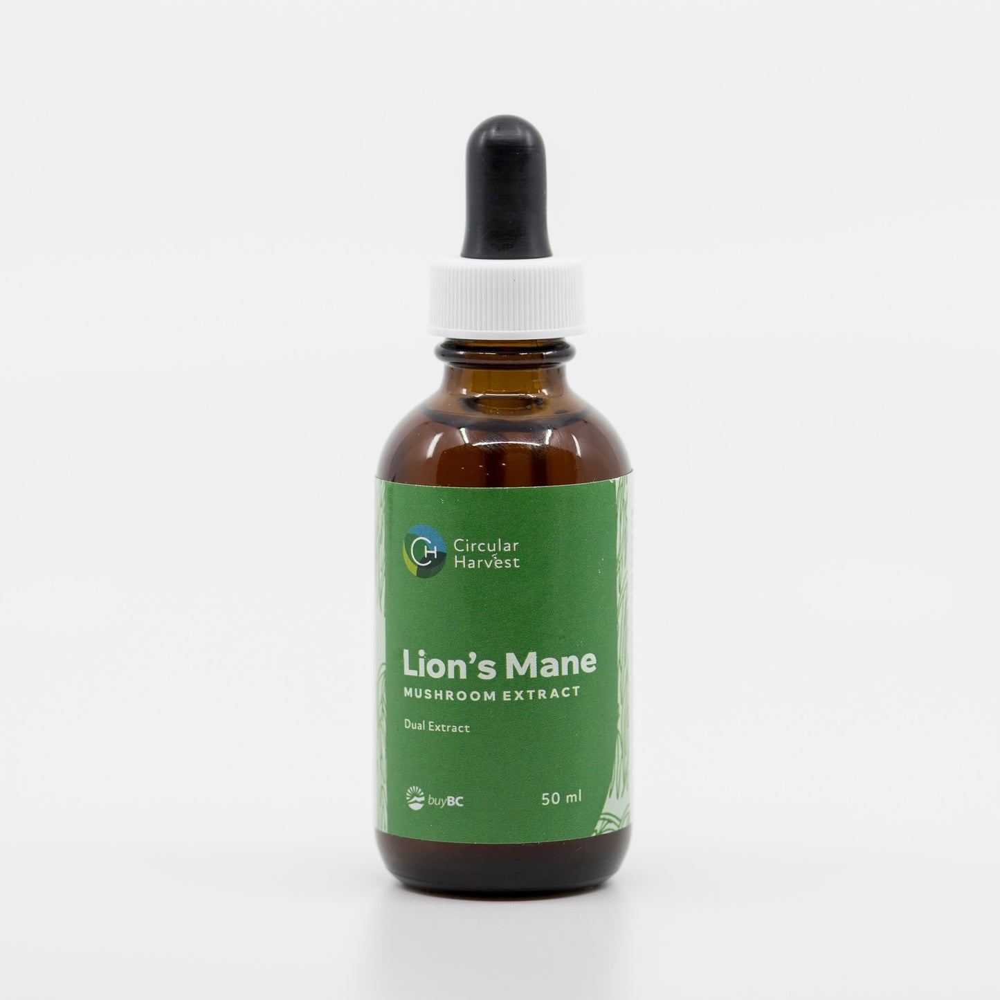 Lion's Mane Mushroom Extract