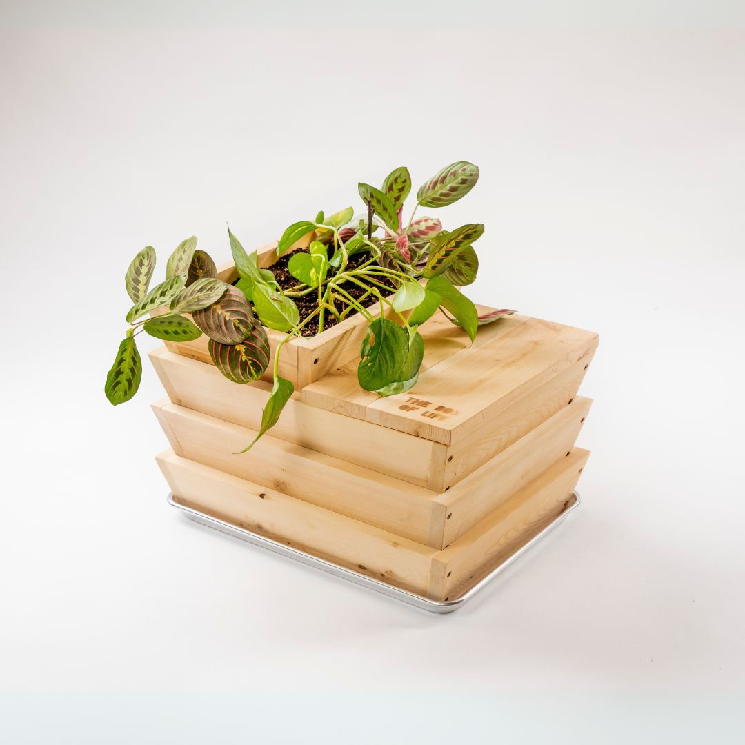 Worm Studio | Wooden Stacking Worm Farm