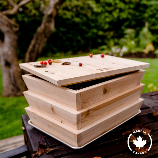 Worm Studio | Wooden Stacking Worm Farm