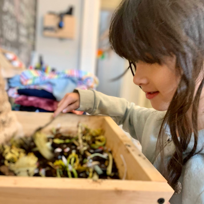 Worm Studio | Wooden Stacking Worm Farm