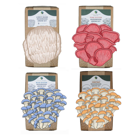 Core 4 Mushroom Grow Kits
