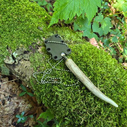 Antler Mushroom Knife