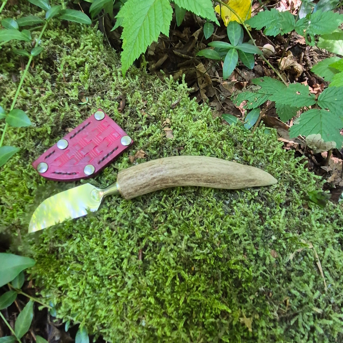 Antler Mushroom Knife