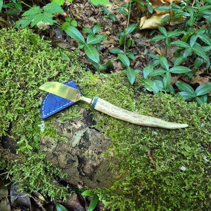 Antler Mushroom Knife