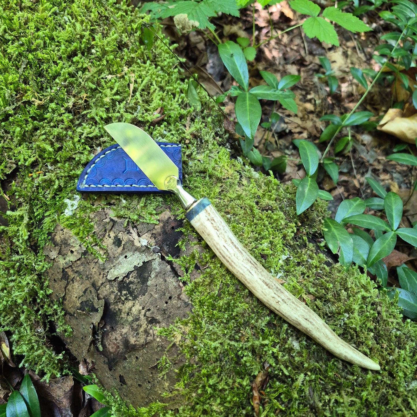 Antler Mushroom Knife