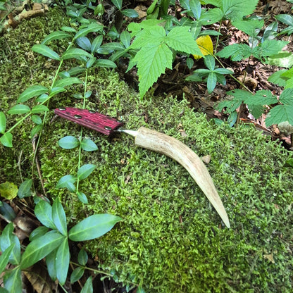 Antler Mushroom Knife