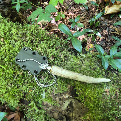 Antler Mushroom Knife