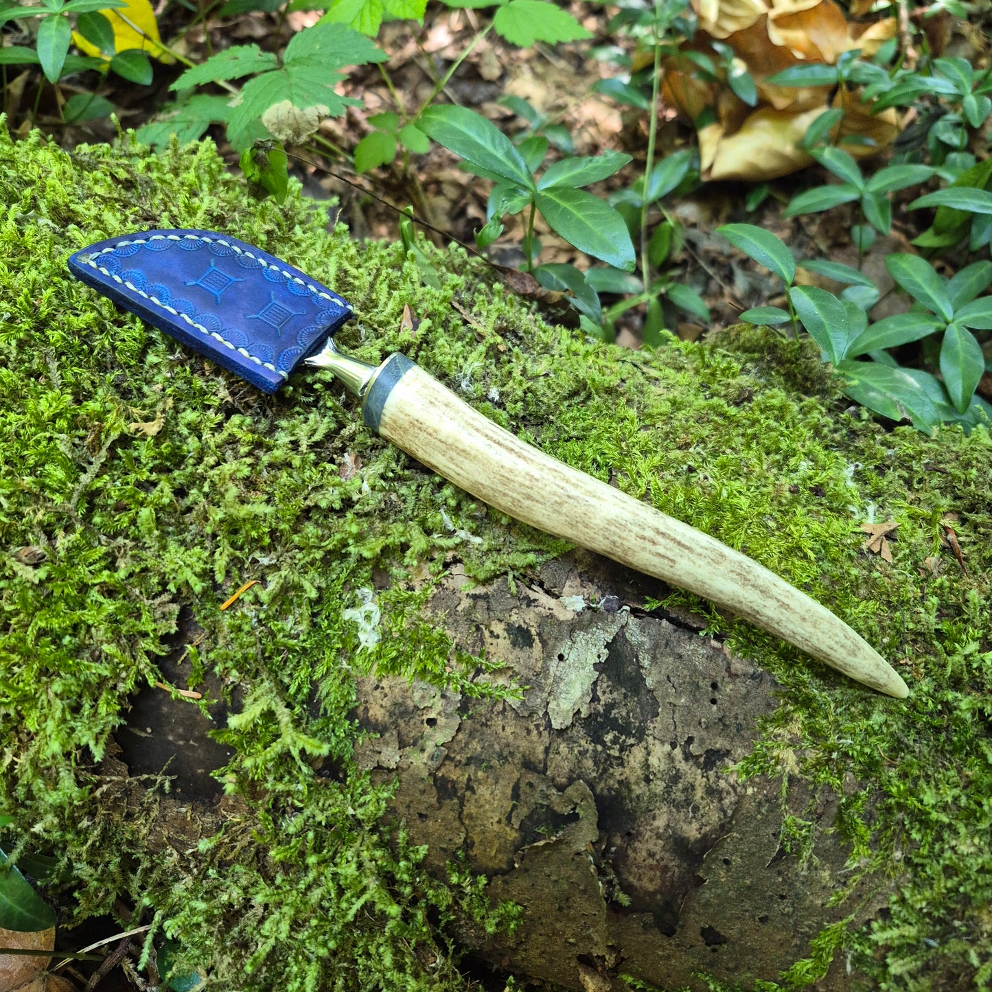 Antler Mushroom Knife
