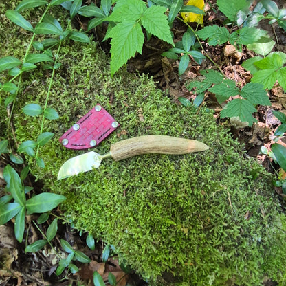 Antler Mushroom Knife