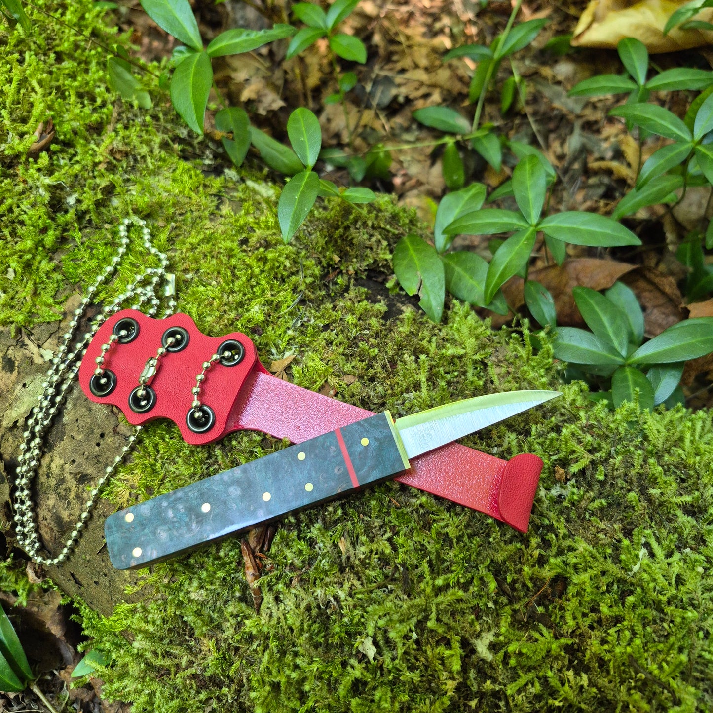 Carbon Steel Mushroom Knife