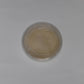 Blank Sterile Agar Petri Dishes