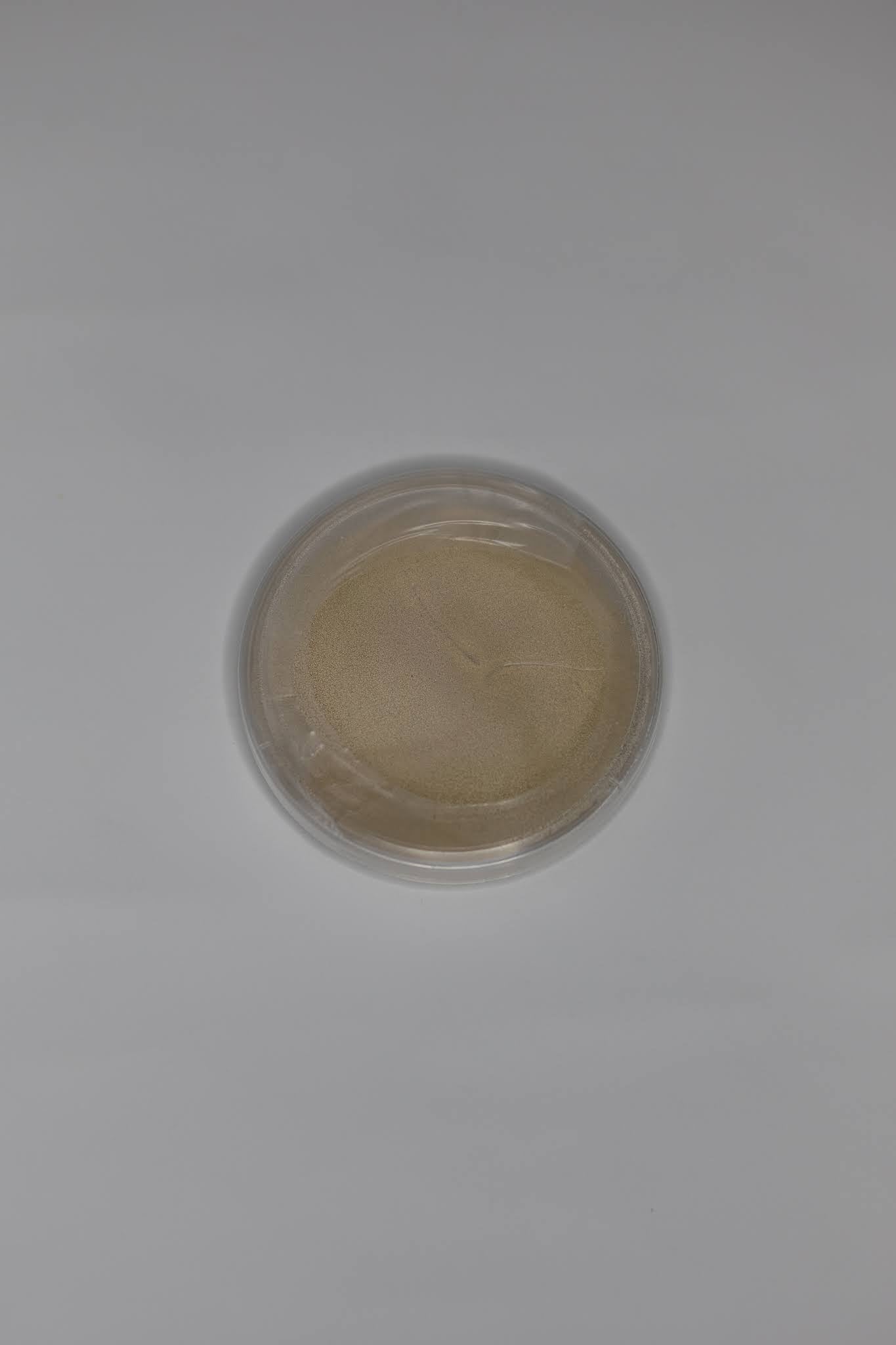 Blank Sterile Agar Petri Dishes