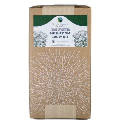 White Oyster Mushroom Grow Kit