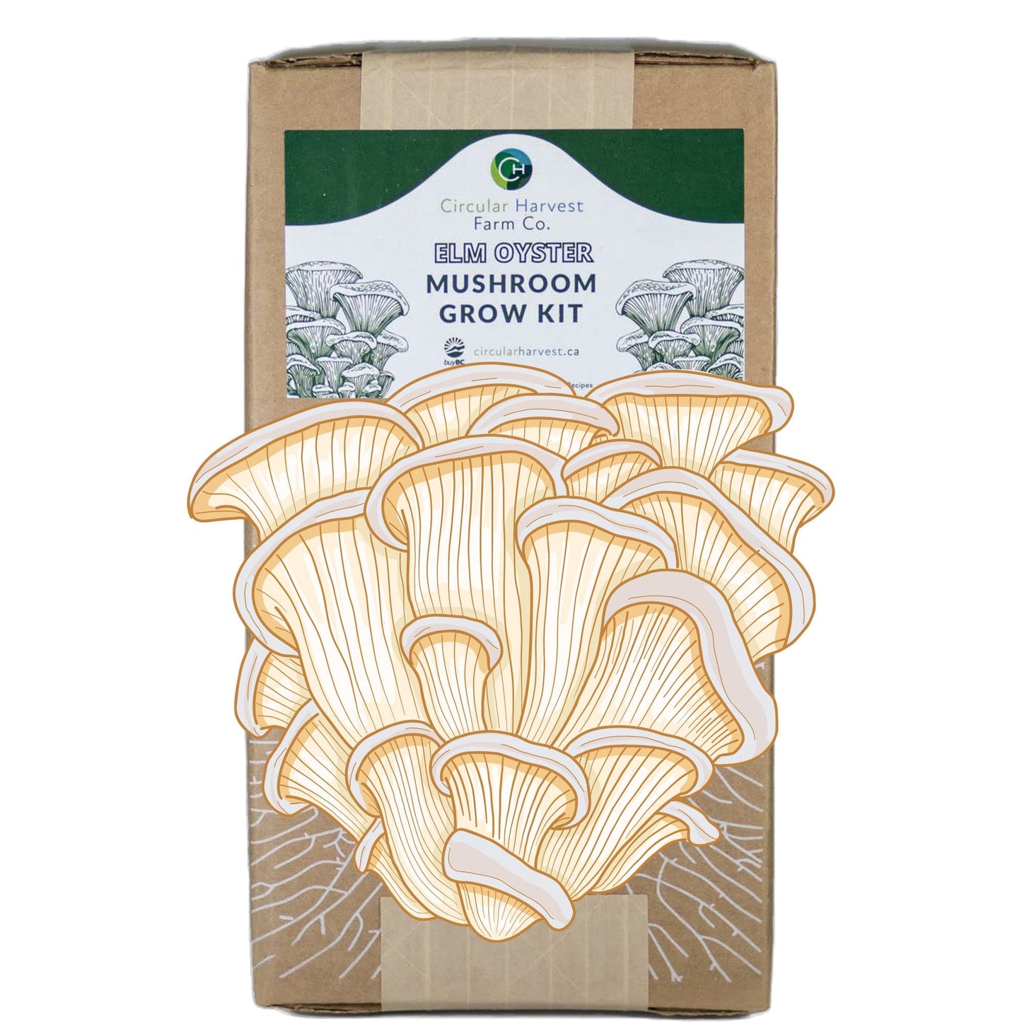 White Oyster Mushroom Grow Kit